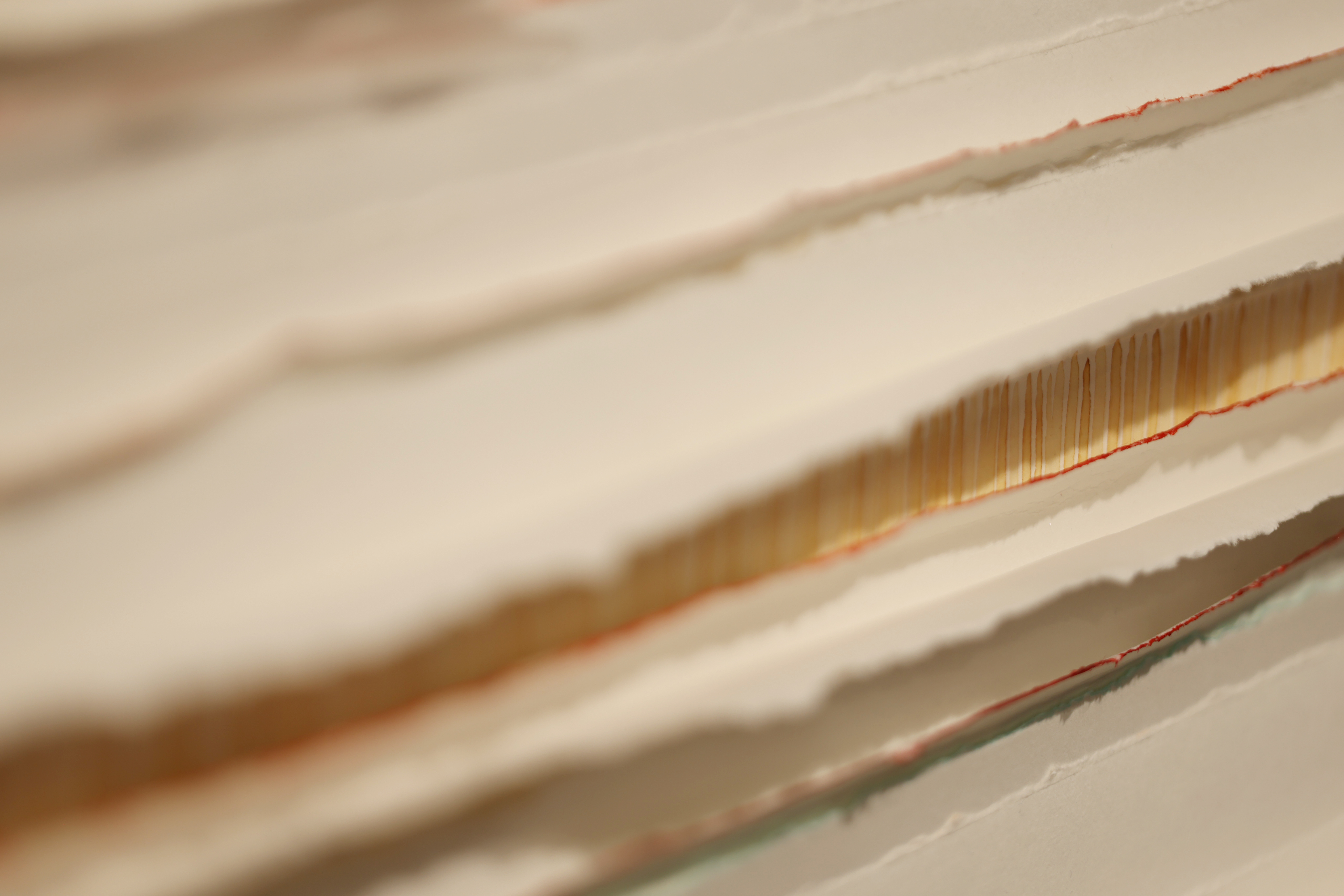 Large-scale installation artwork by Stephen Russell-Brett exploring ecological grief and impermanence