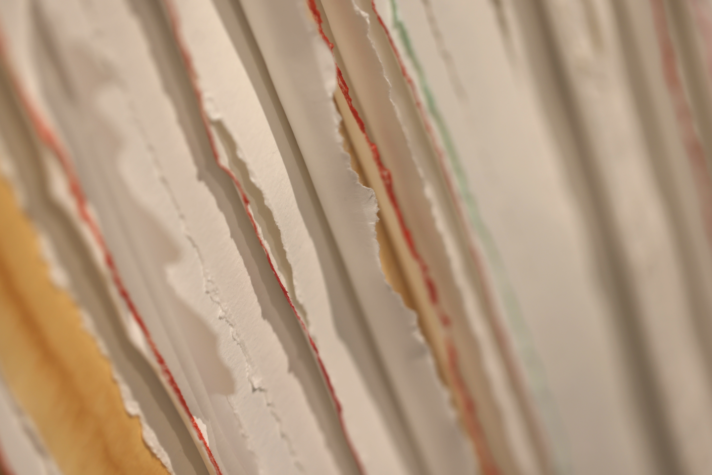 Stephen Russell-Brett – South African Contemporary Artist Working in Ecological and Paper-Based Media